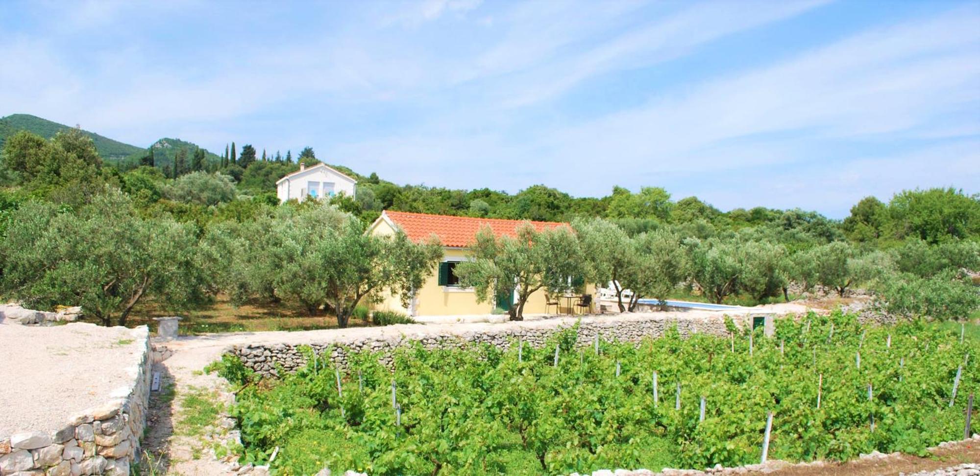 Račišće Vineyard House & Olive Grove Houseヴィラ エクステリア 写真