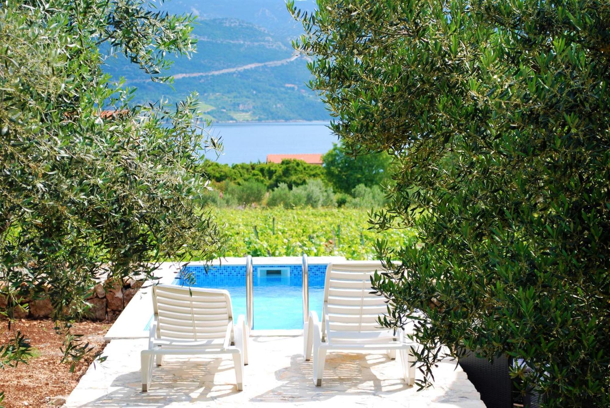 Račišće Vineyard House & Olive Grove Houseヴィラ エクステリア 写真