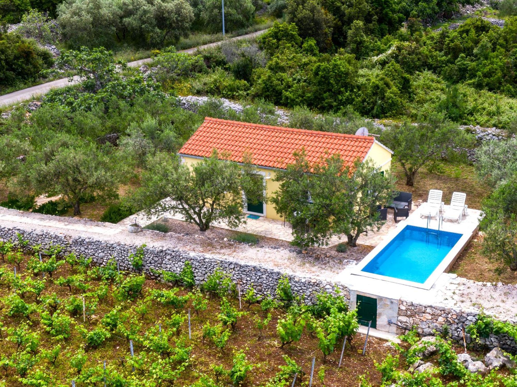 Račišće Vineyard House & Olive Grove Houseヴィラ エクステリア 写真