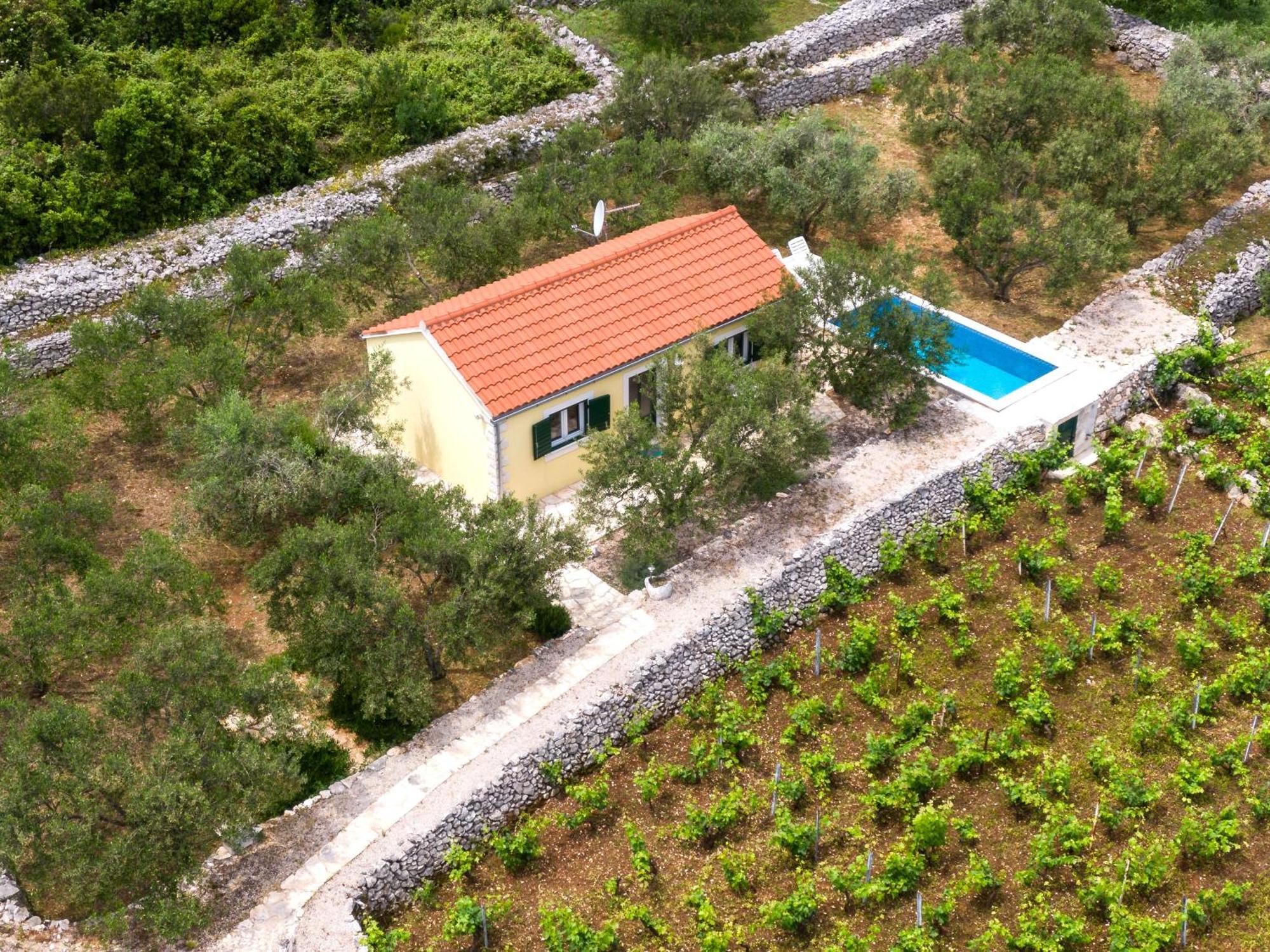 Račišće Vineyard House & Olive Grove Houseヴィラ エクステリア 写真