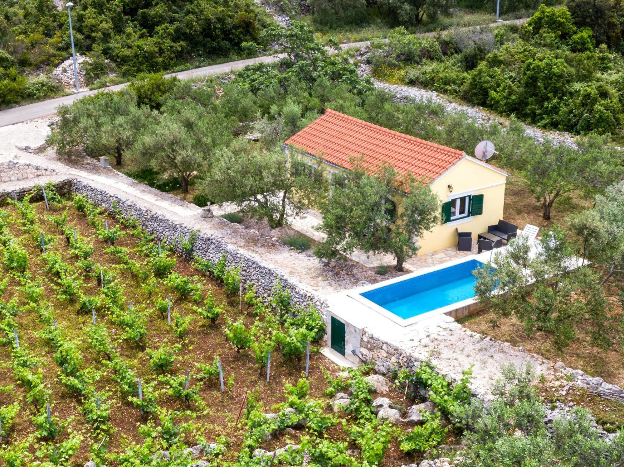 Račišće Vineyard House & Olive Grove Houseヴィラ エクステリア 写真