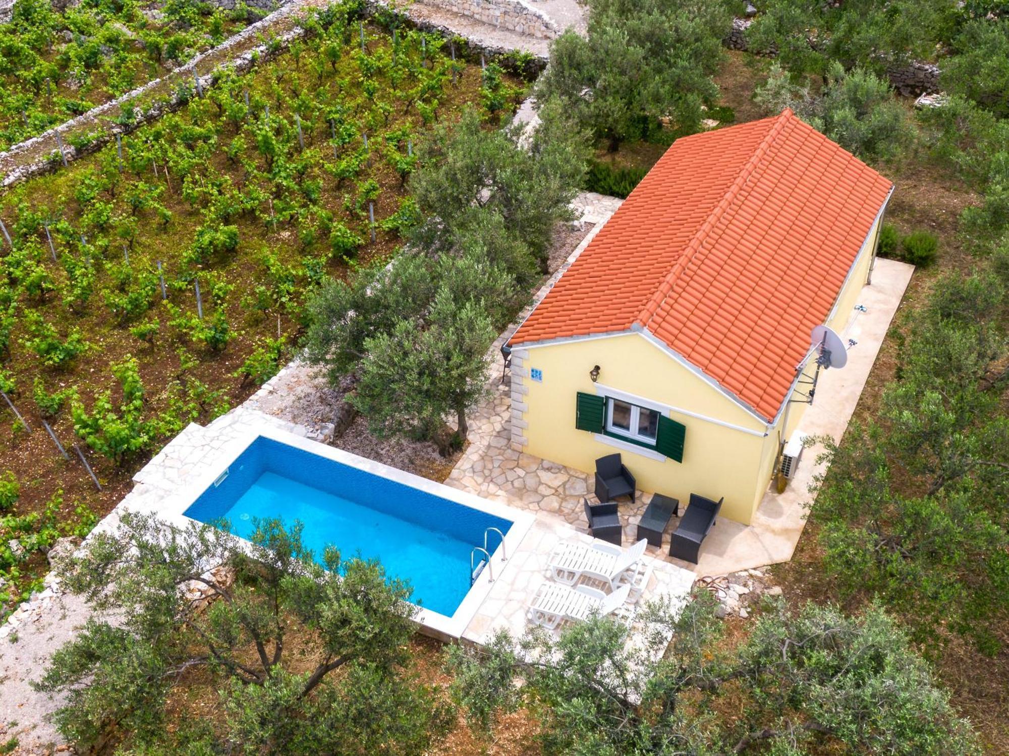 Račišće Vineyard House & Olive Grove Houseヴィラ エクステリア 写真