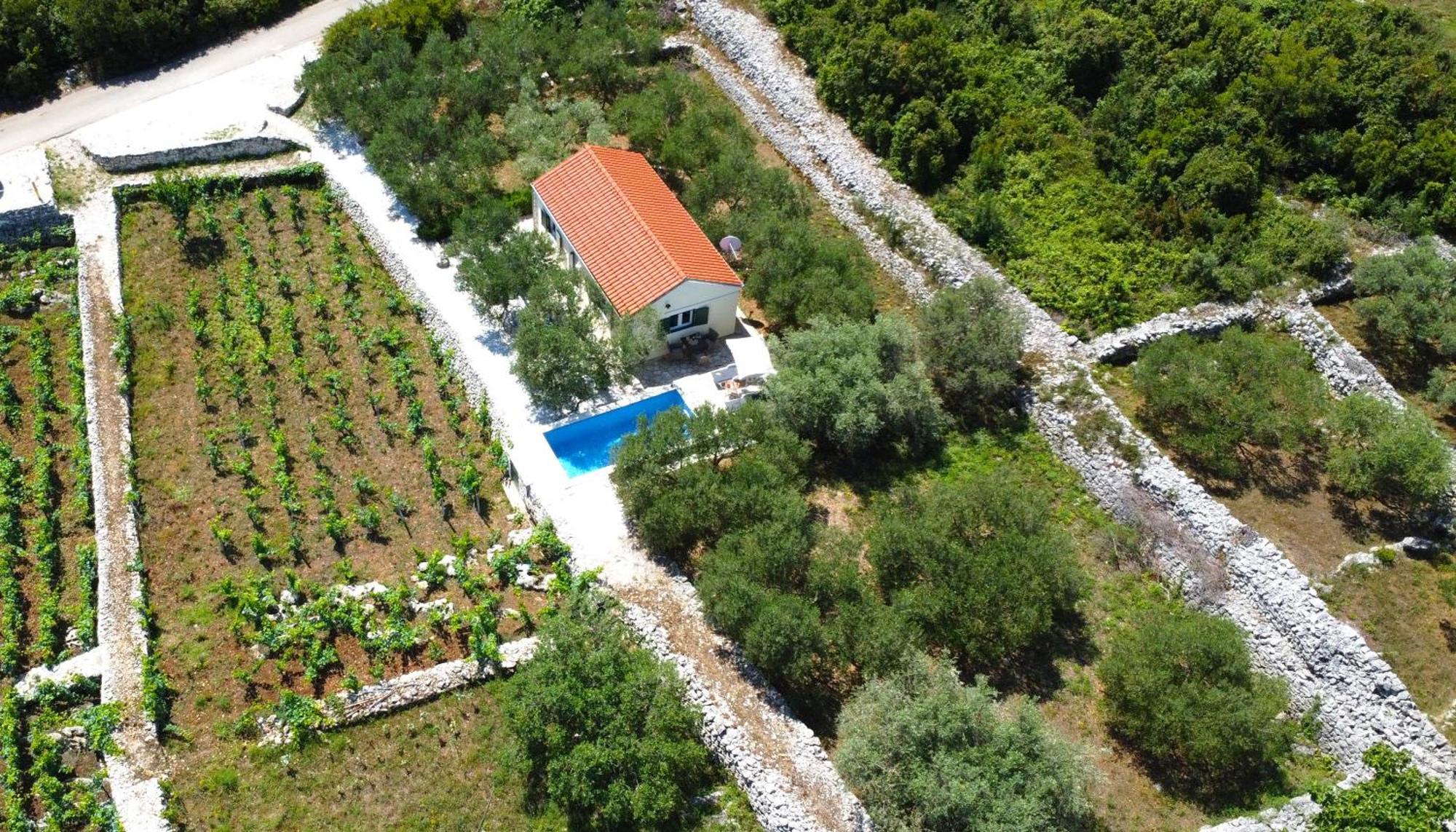 Račišće Vineyard House & Olive Grove Houseヴィラ エクステリア 写真