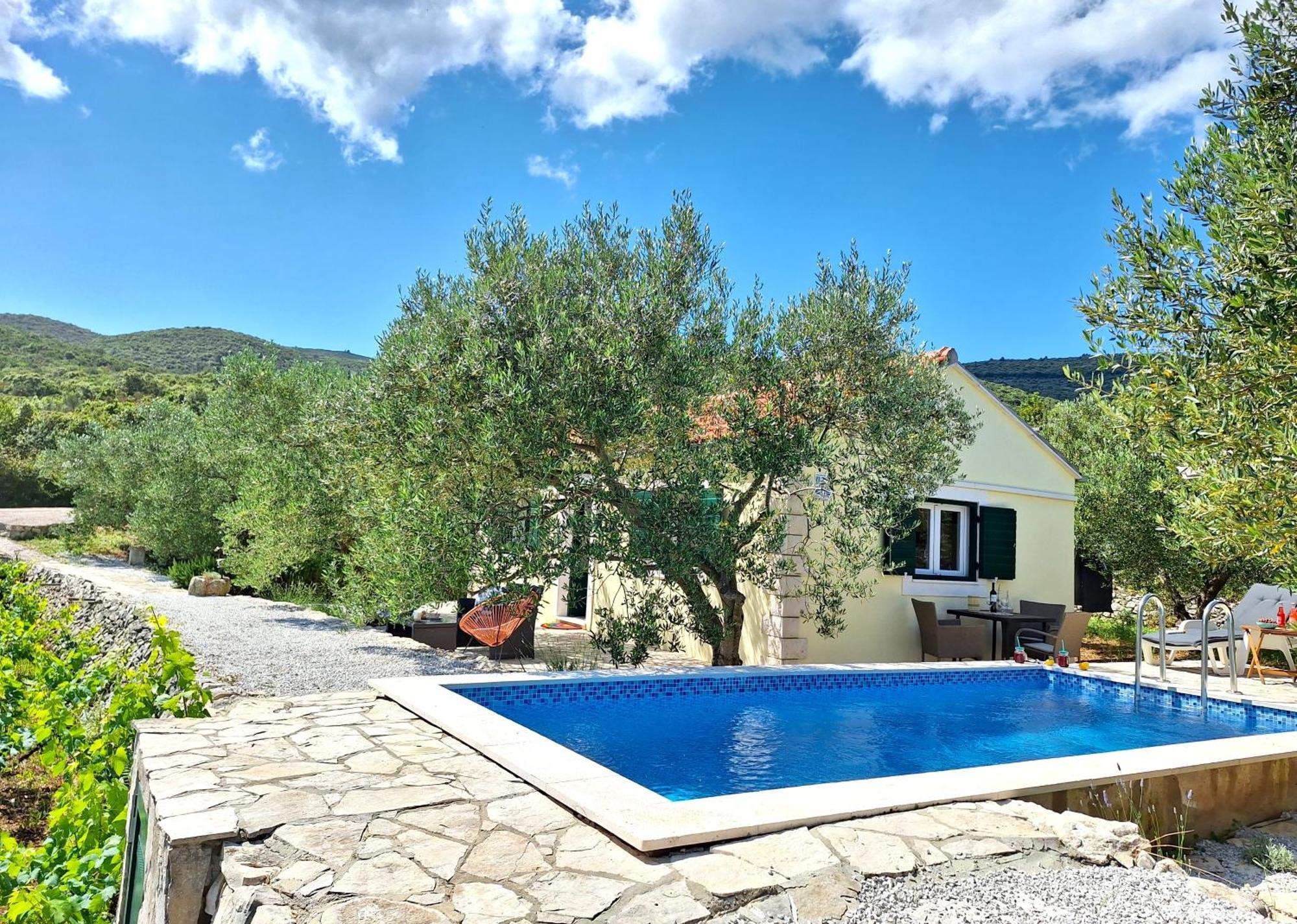Račišće Vineyard House & Olive Grove Houseヴィラ エクステリア 写真