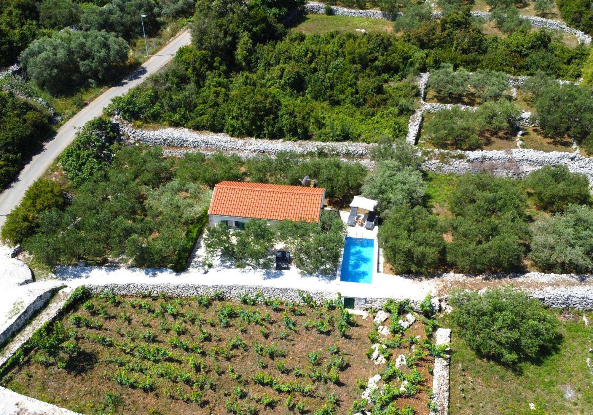 Račišće Vineyard House & Olive Grove Houseヴィラ エクステリア 写真