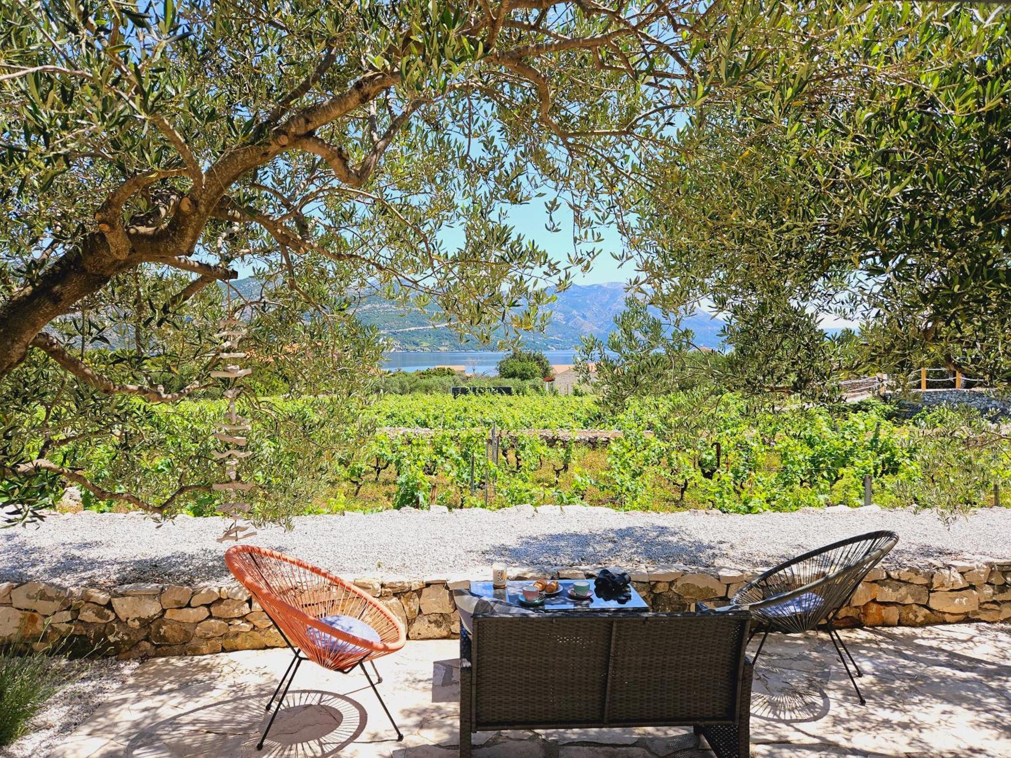 Račišće Vineyard House & Olive Grove Houseヴィラ エクステリア 写真