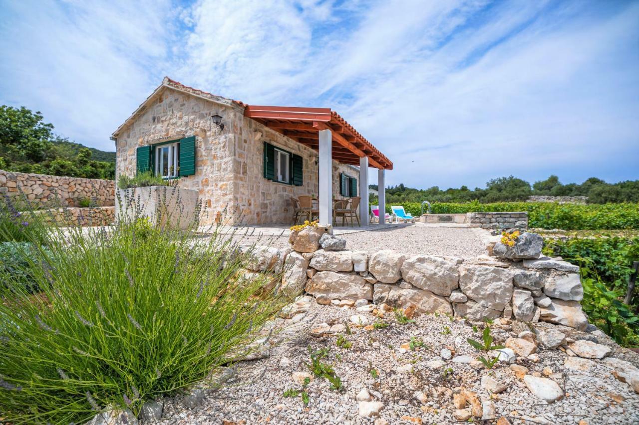 Račišće Vineyard House & Olive Grove Houseヴィラ エクステリア 写真