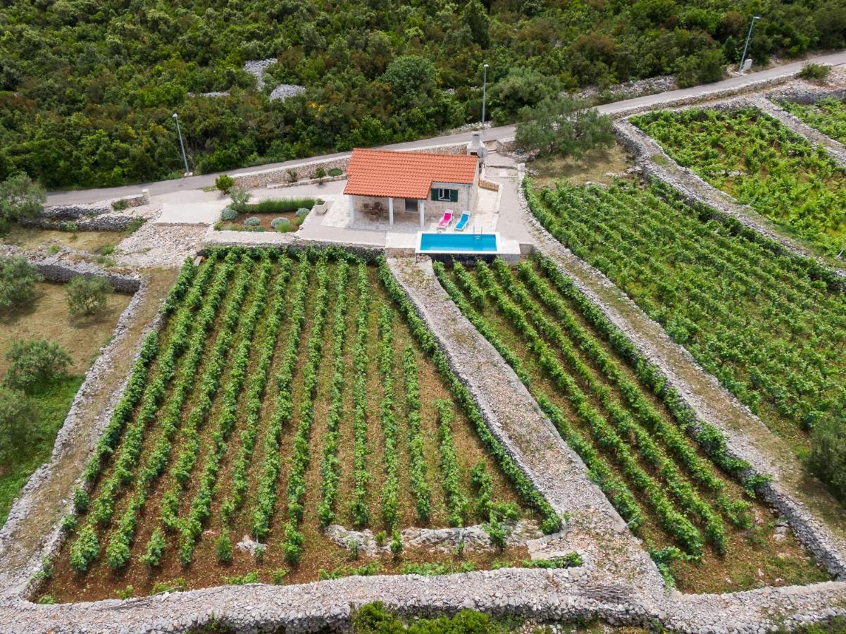 Račišće Vineyard House & Olive Grove Houseヴィラ エクステリア 写真