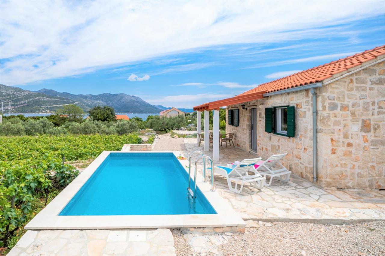 Račišće Vineyard House & Olive Grove Houseヴィラ エクステリア 写真