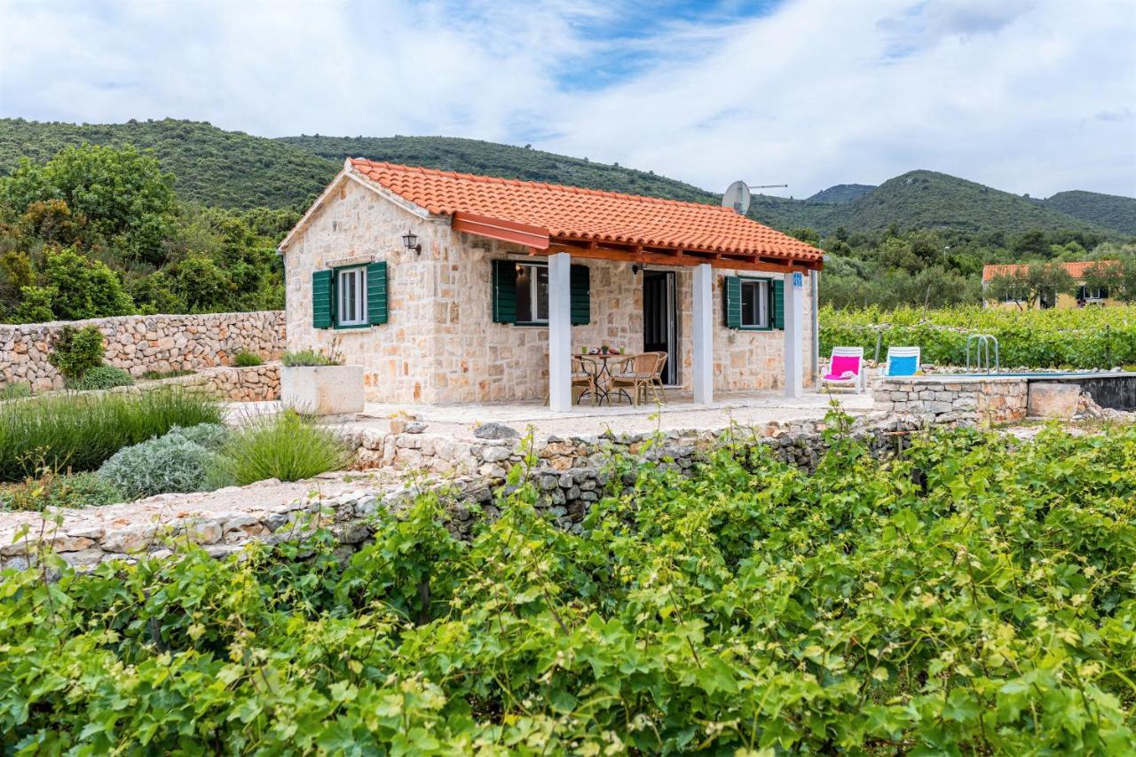 Račišće Vineyard House & Olive Grove Houseヴィラ エクステリア 写真