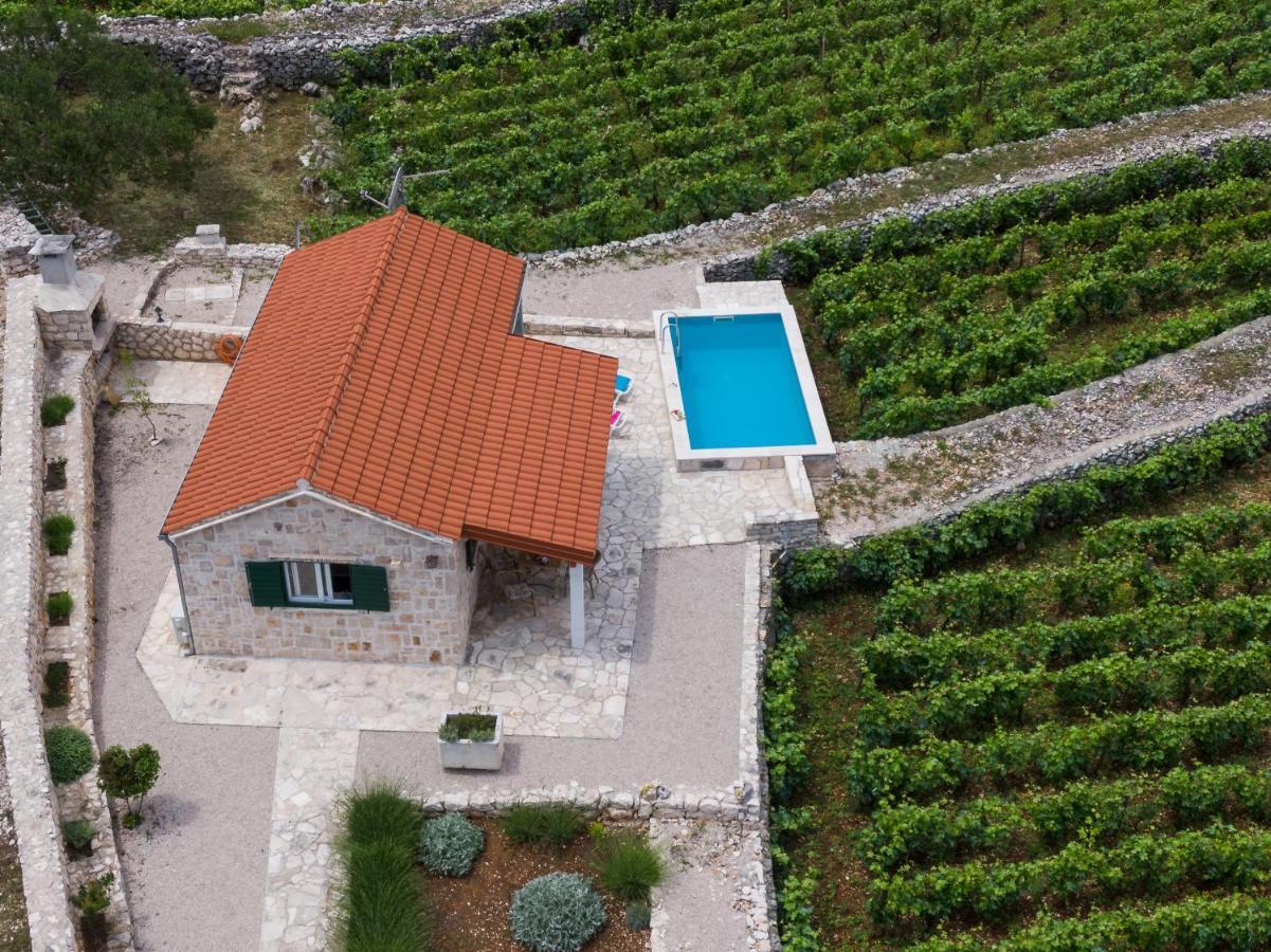 Račišće Vineyard House & Olive Grove Houseヴィラ エクステリア 写真