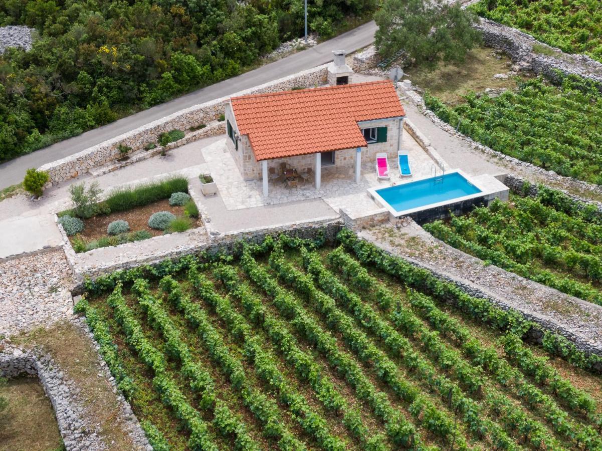 Račišće Vineyard House & Olive Grove Houseヴィラ エクステリア 写真