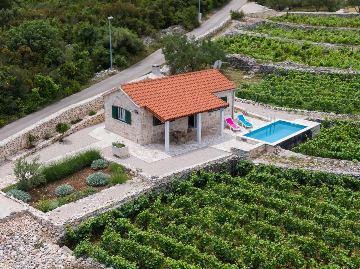 Račišće Vineyard House & Olive Grove Houseヴィラ エクステリア 写真